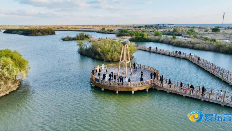 毕竟真实赛 毕竟真实赛