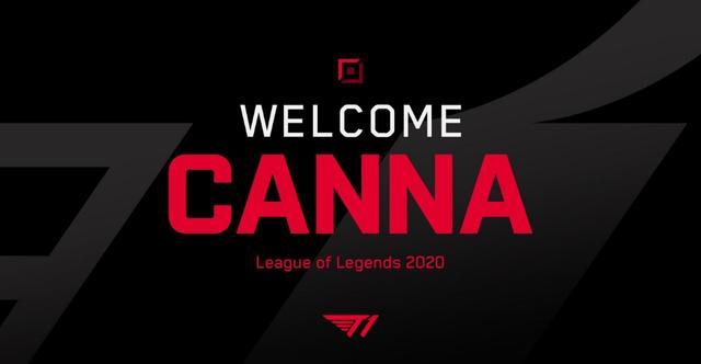 职业生涯的 职业生涯的